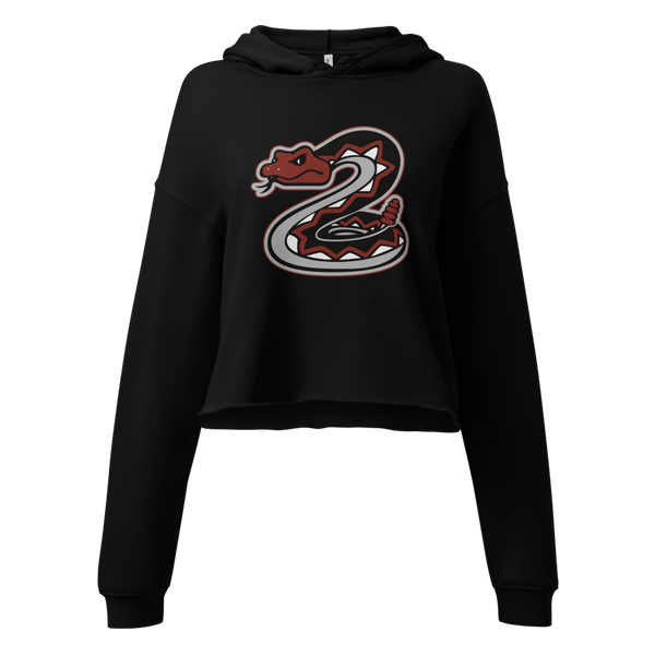 Desert Oasis High School Design 1 — Black