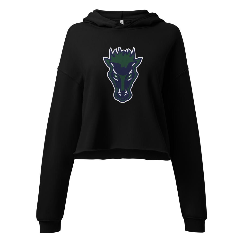 Damonte Ranch High School Design 1 — Black