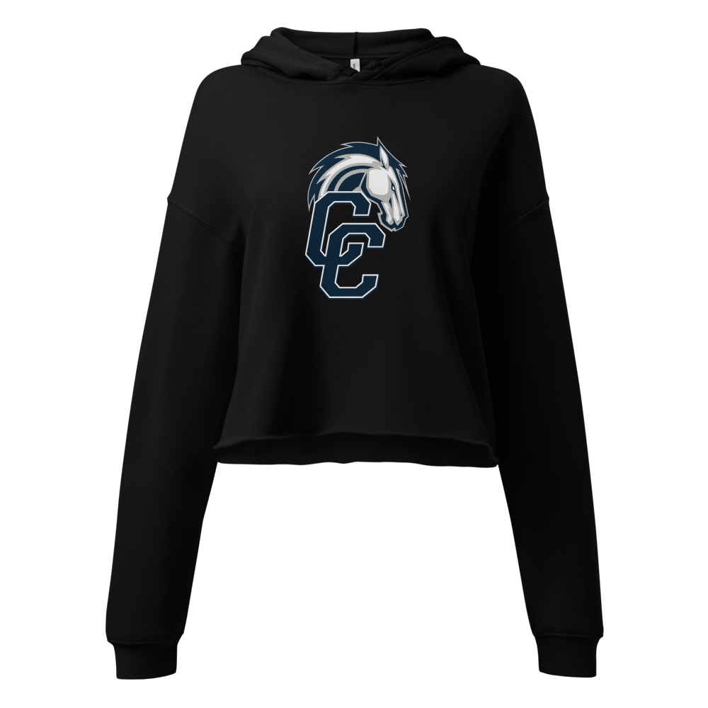 Corner Canyon High School Design 1 — Black