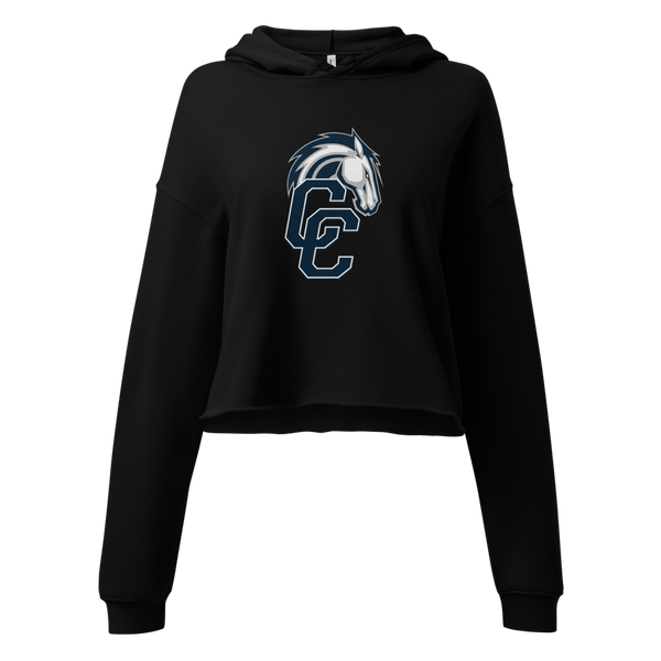 Corner Canyon High School Design 1 — Black