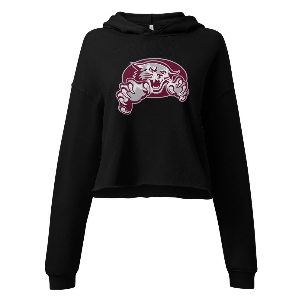 Shelby County High School Design 1 — Black