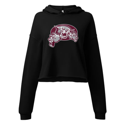 Shelby County High School Design 1 — Black