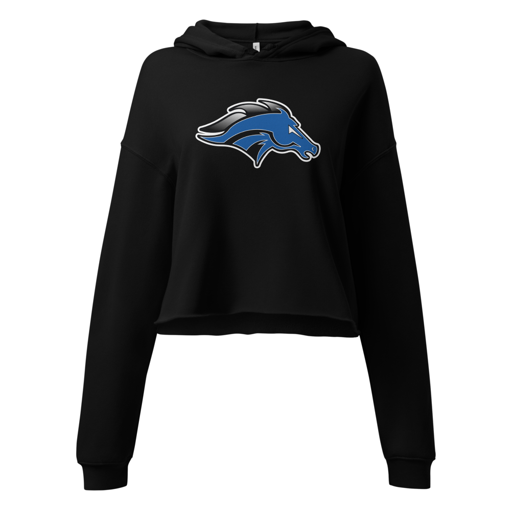Stansbury High School Design 1 — Black