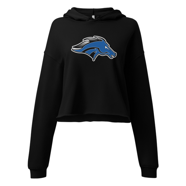 Stansbury High School Design 1 — Black