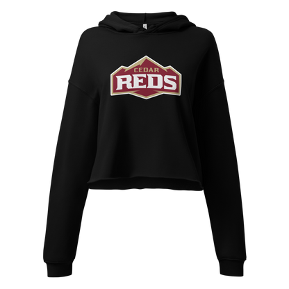 Cedar High School Design 1 — Black