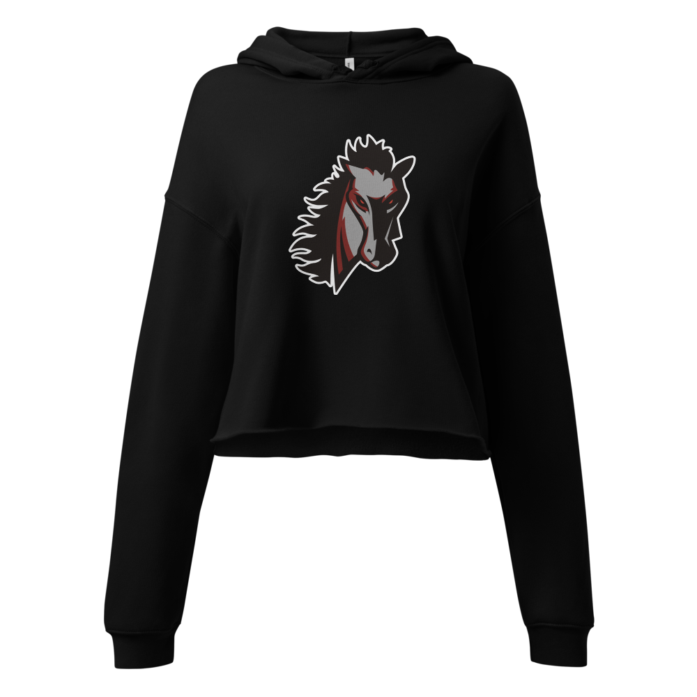 Earl Wooster High School Design 1 — Black
