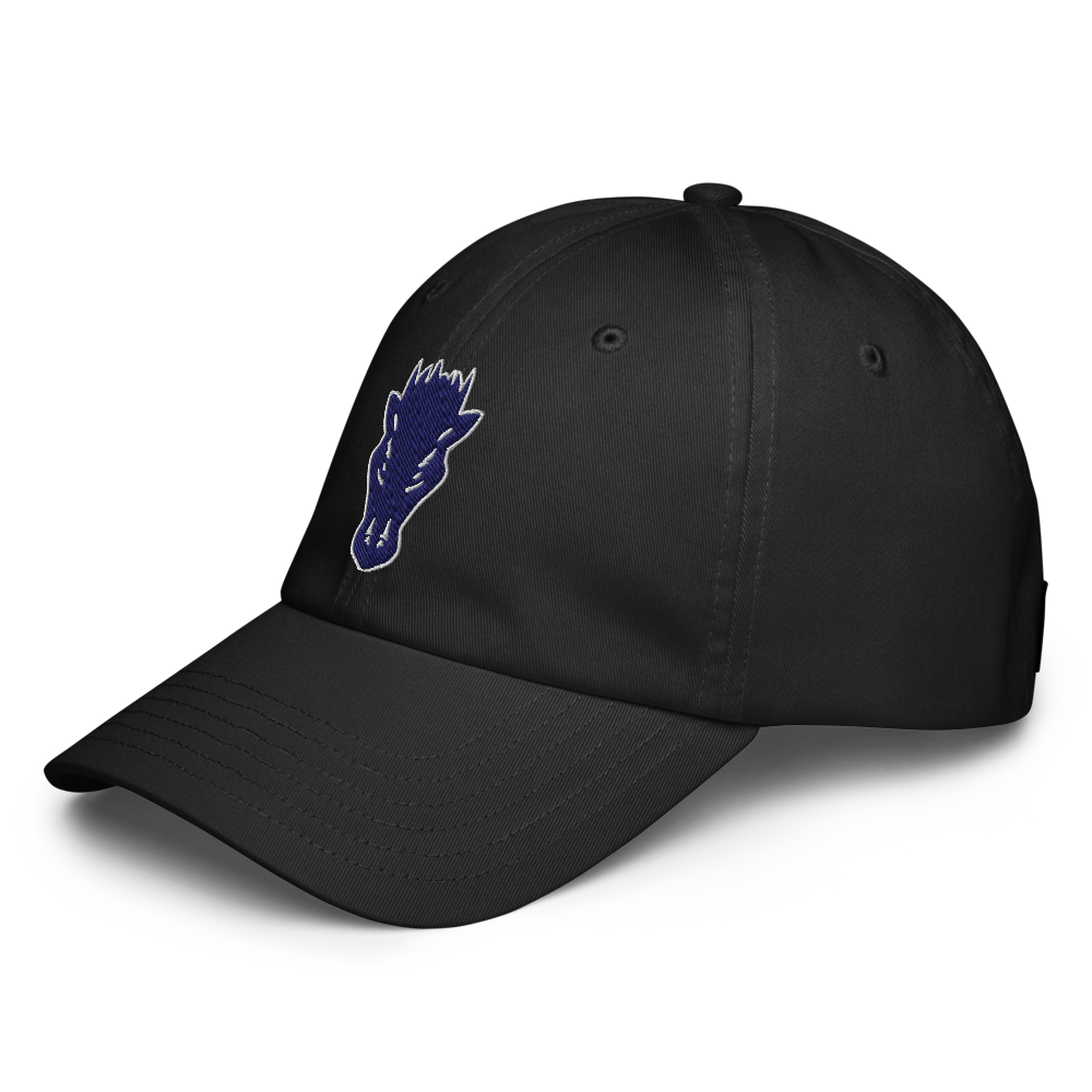 Damonte Ranch High School Design 1 — Black