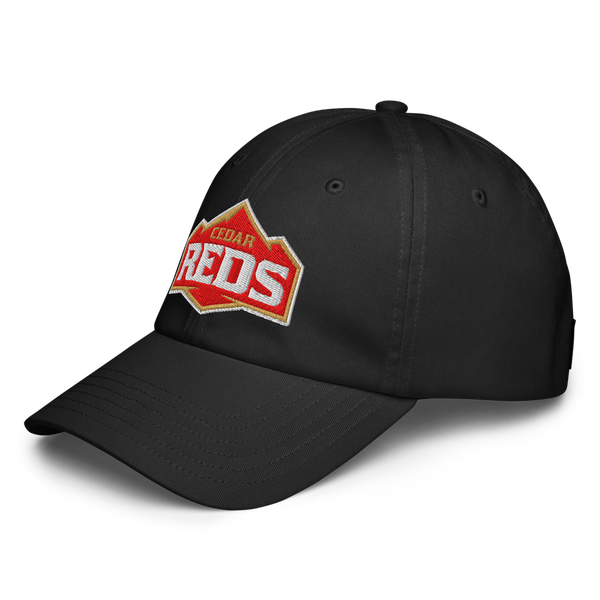 Cedar High School Design 1 — Black