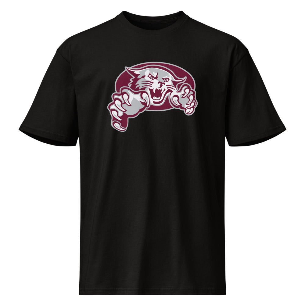 Shelby County High School Design 1 — Black