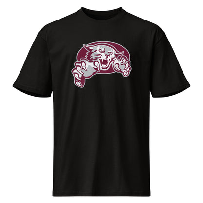 Shelby County High School Design 1 — Black