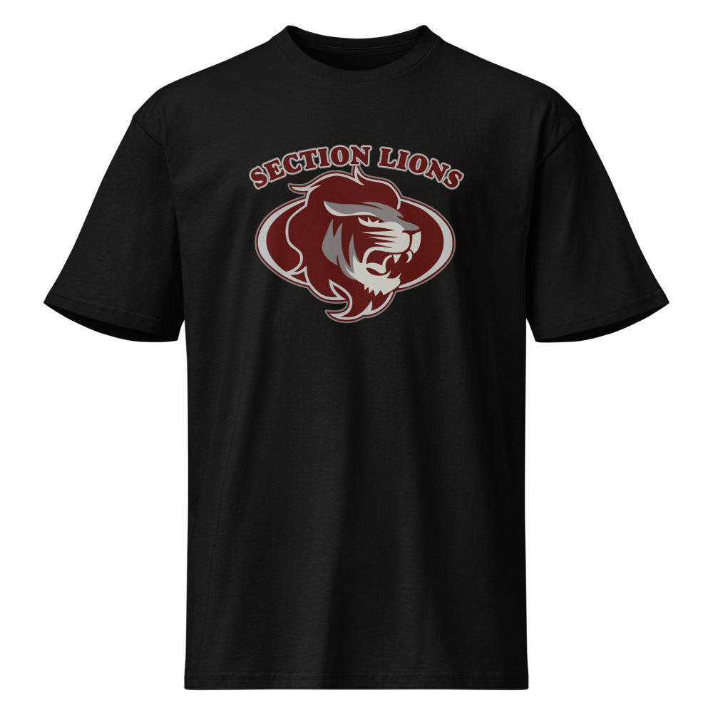 Section High School Design 1 — Black