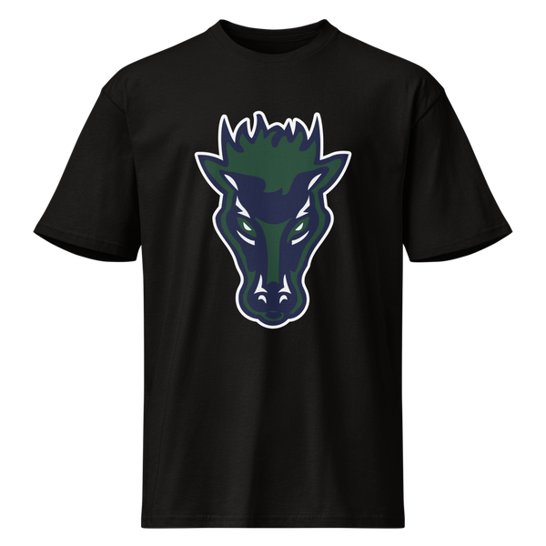 Damonte Ranch High School Design 1 — Black