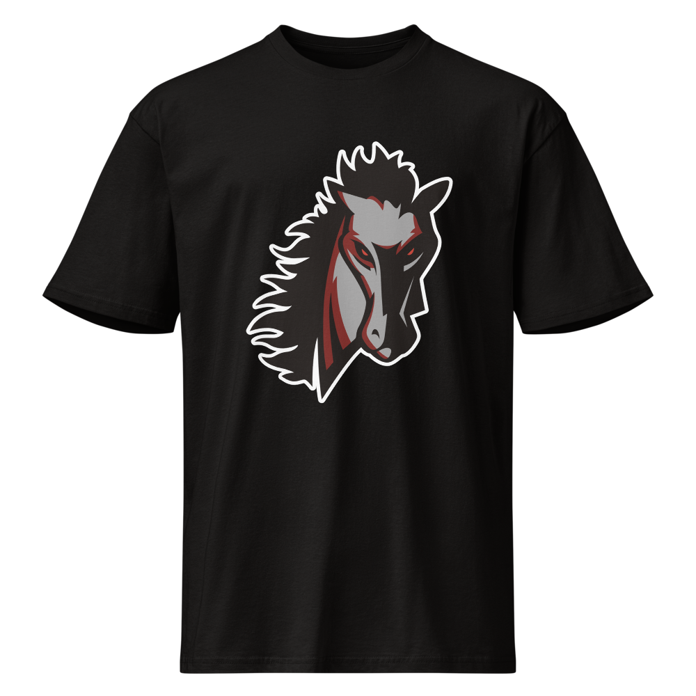 Earl Wooster High School Design 1 — Black