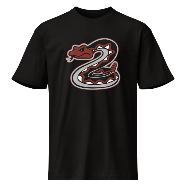 Desert Oasis High School Design 1 — Black