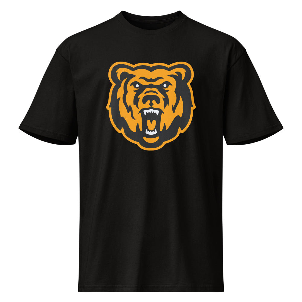 Leroy High School Design 1 — Black