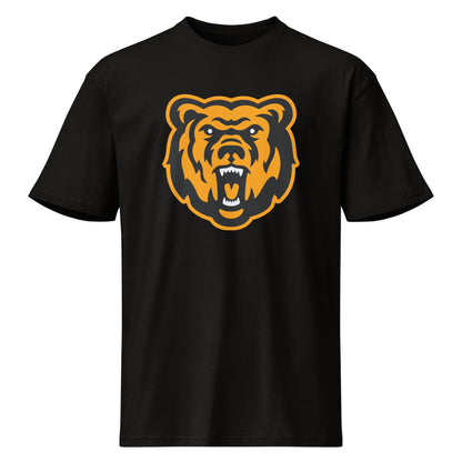 Leroy High School Design 1 — Black