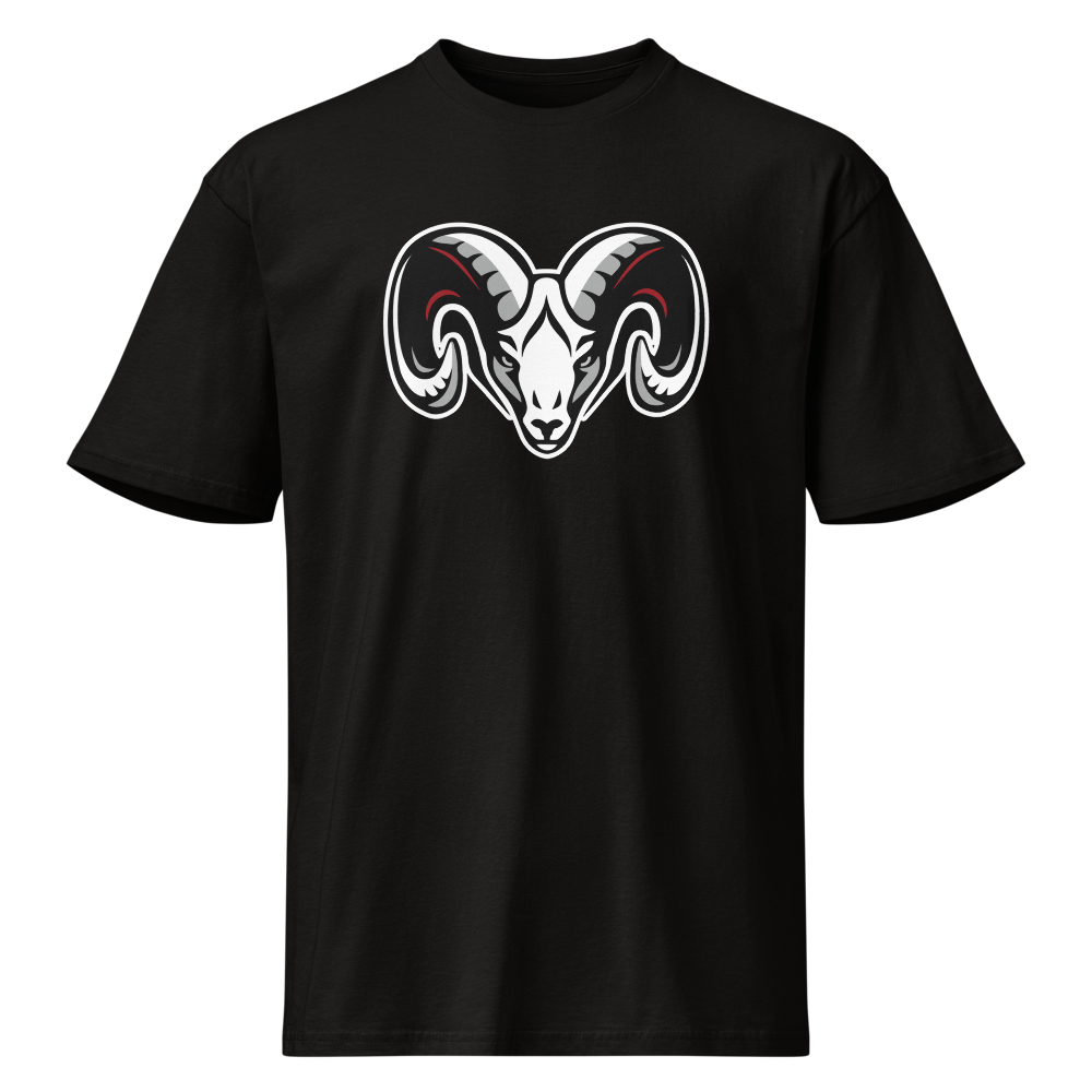 South Sevier High School Design 1 — Black