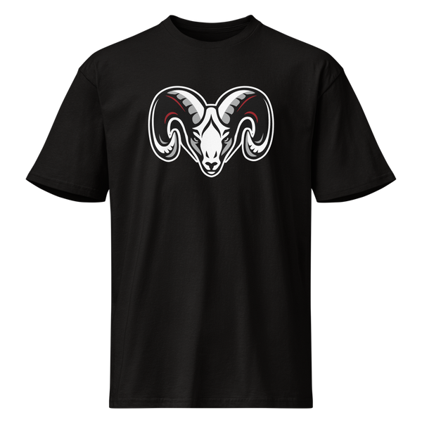 South Sevier High School Design 1 — Black