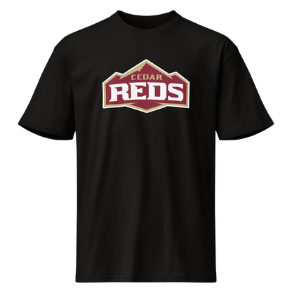 Cedar High School Design 1 — Black