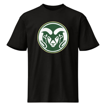 Sylvania High School Design 1 — Black