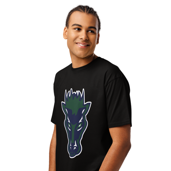 Damonte Ranch High School Design 1 — Black