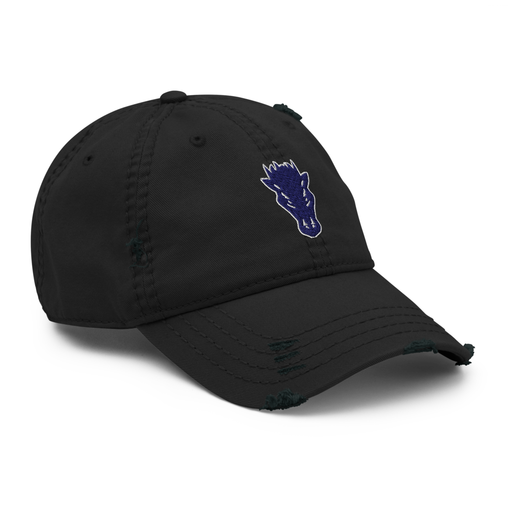 Damonte Ranch High School Design 1 — Black
