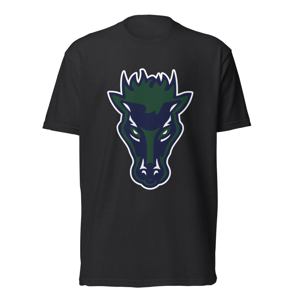 Damonte Ranch High School Design 1 — Black