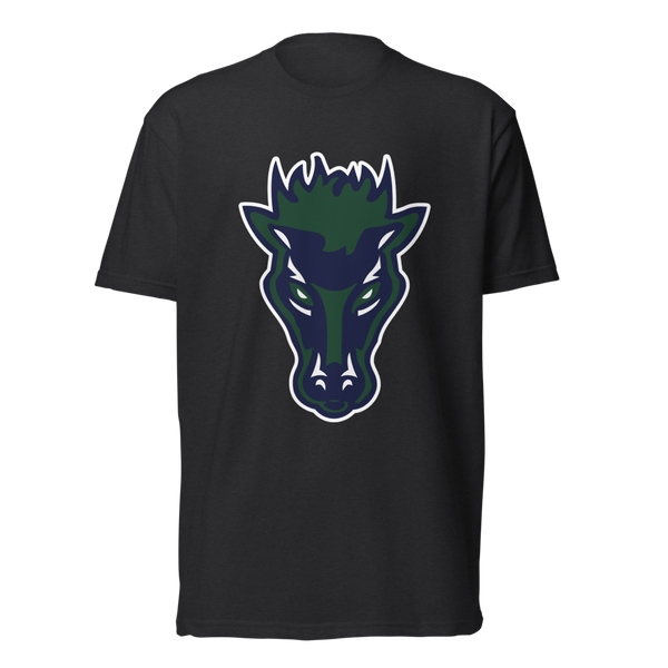 Damonte Ranch High School Design 1 — Black