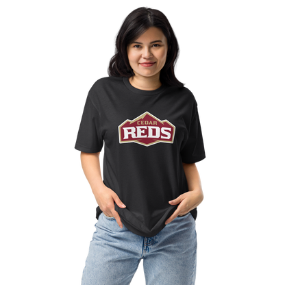 Cedar High School Design 1 — Black