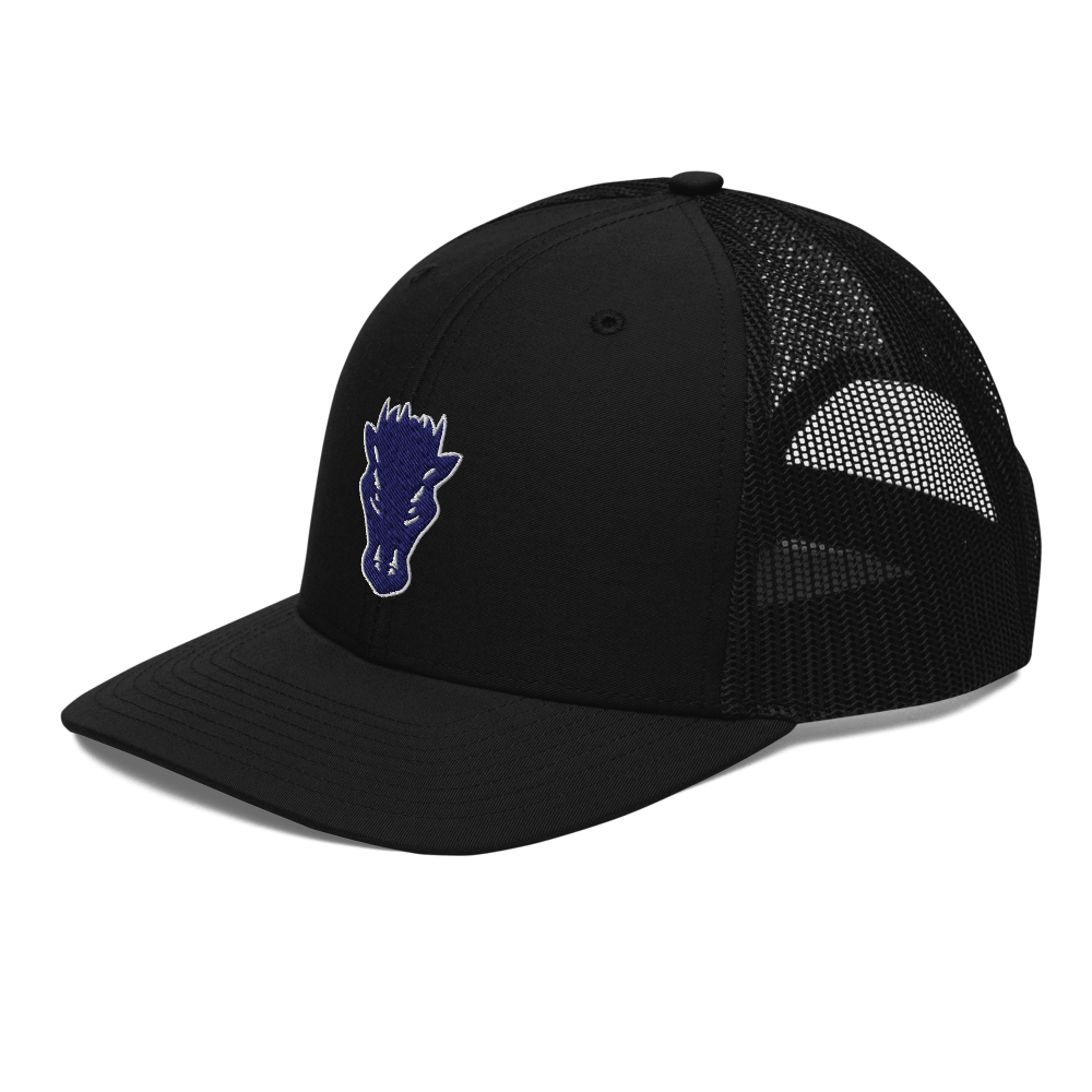 Damonte Ranch High School Design 1 — Black