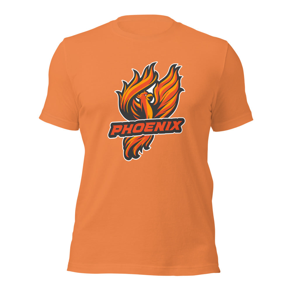 Percy Julian High School Design 1 — Burnt Orange
