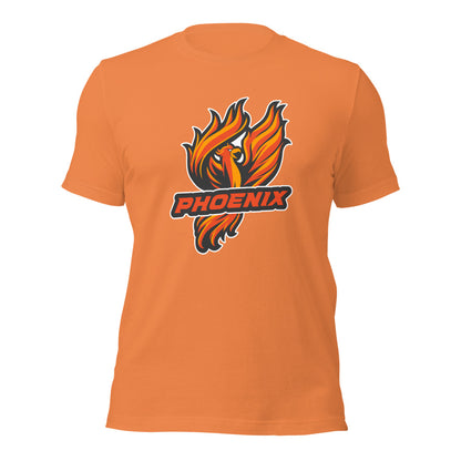 Percy Julian High School Design 1 — Burnt Orange