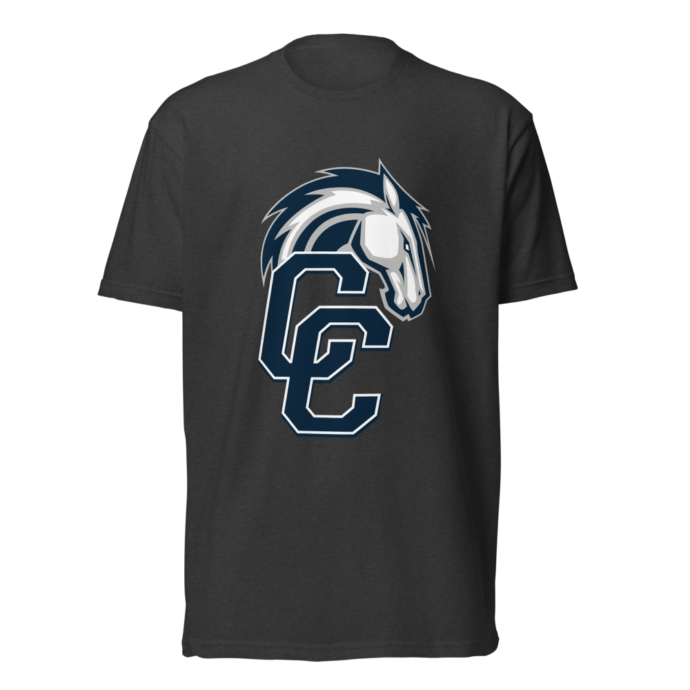 Corner Canyon High School Design 1 — Charcoal