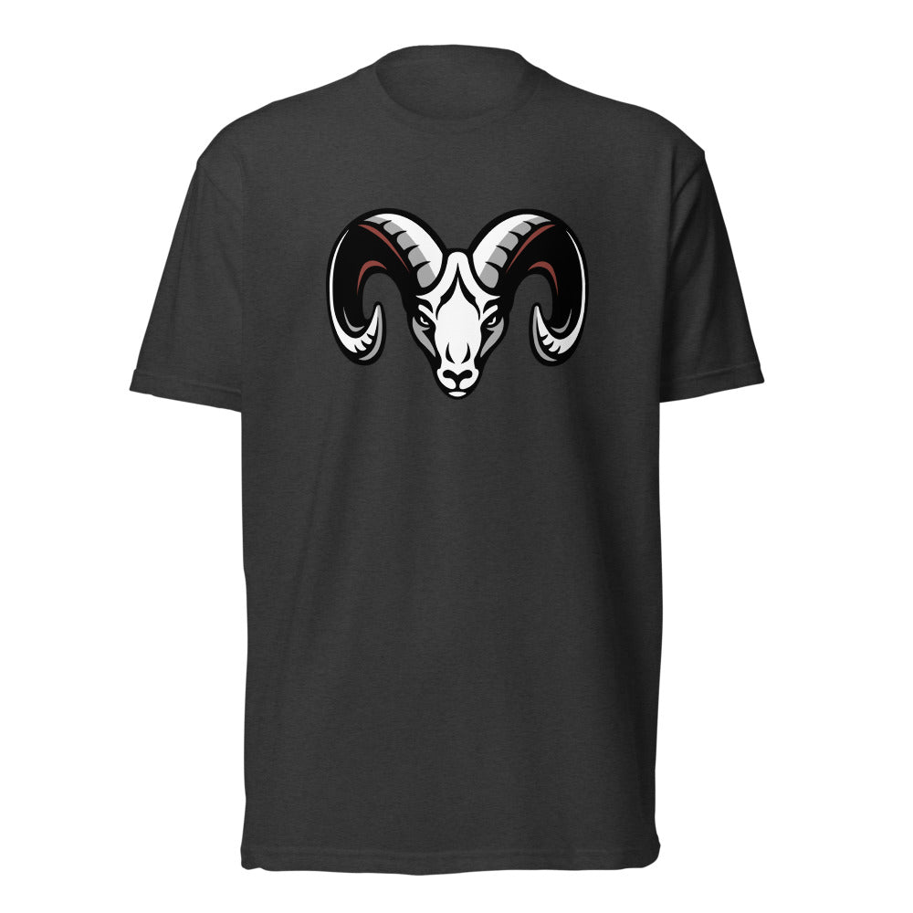 Faith Academy Design 1 — Charcoal