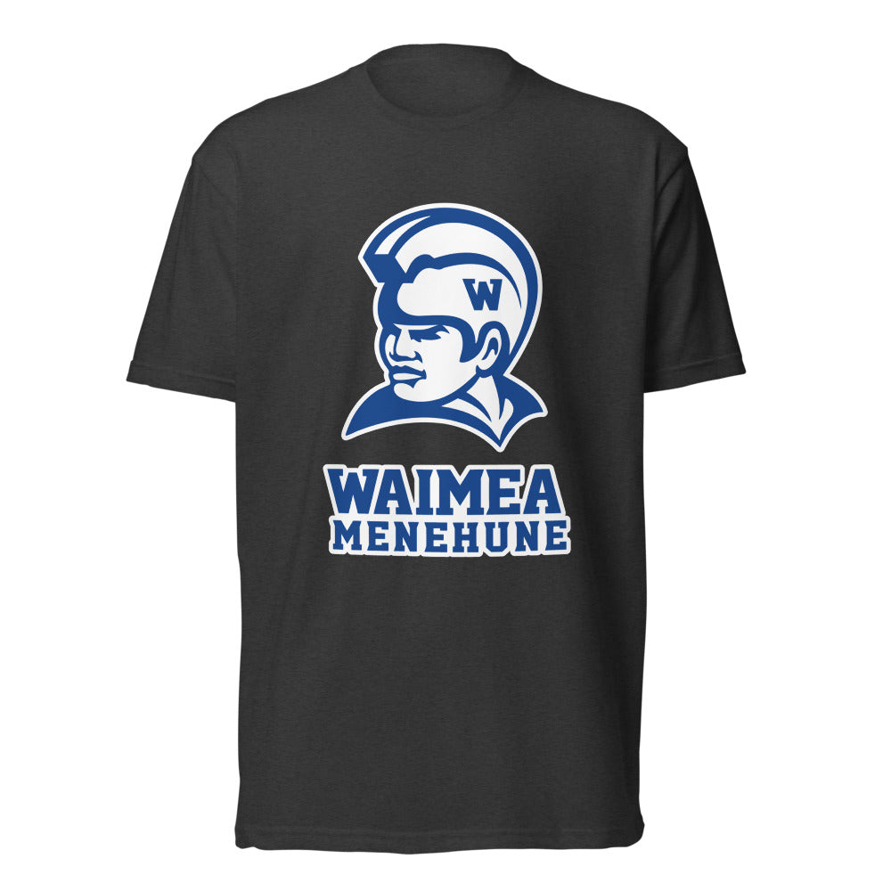 Waimea High School Design 1 — Charcoal