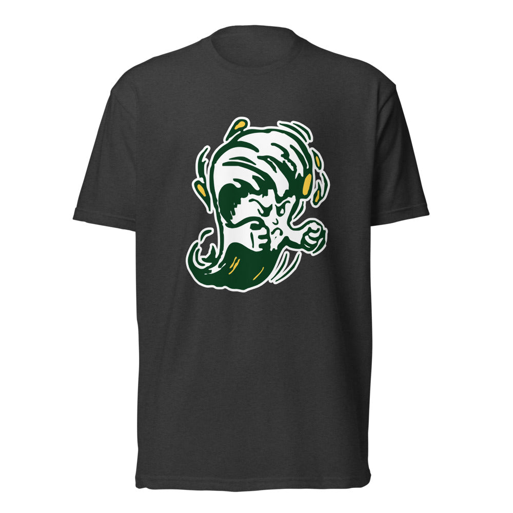 Gordo High School Design 1 — Charcoal