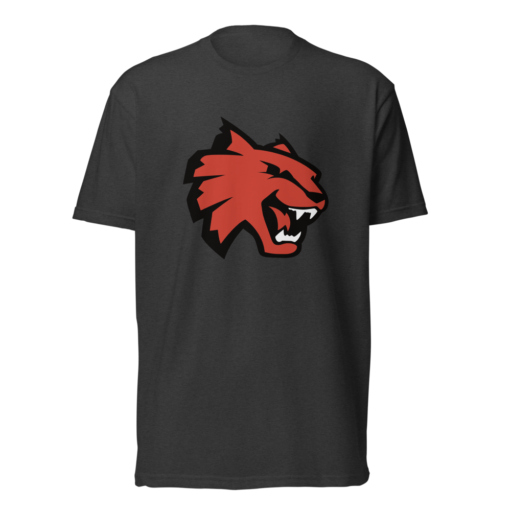 Las Vegas High School Design 1 — Charcoal