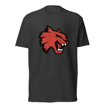 Las Vegas High School Design 1 — Charcoal