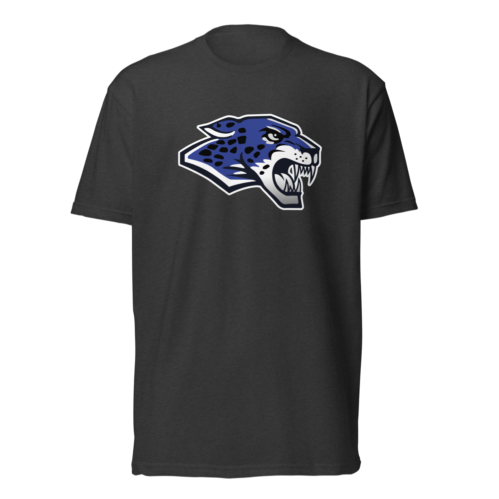 Desert Pines High School Design 1 — Charcoal