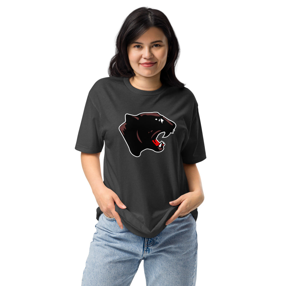 Collinsville High School Design 1 — Charcoal