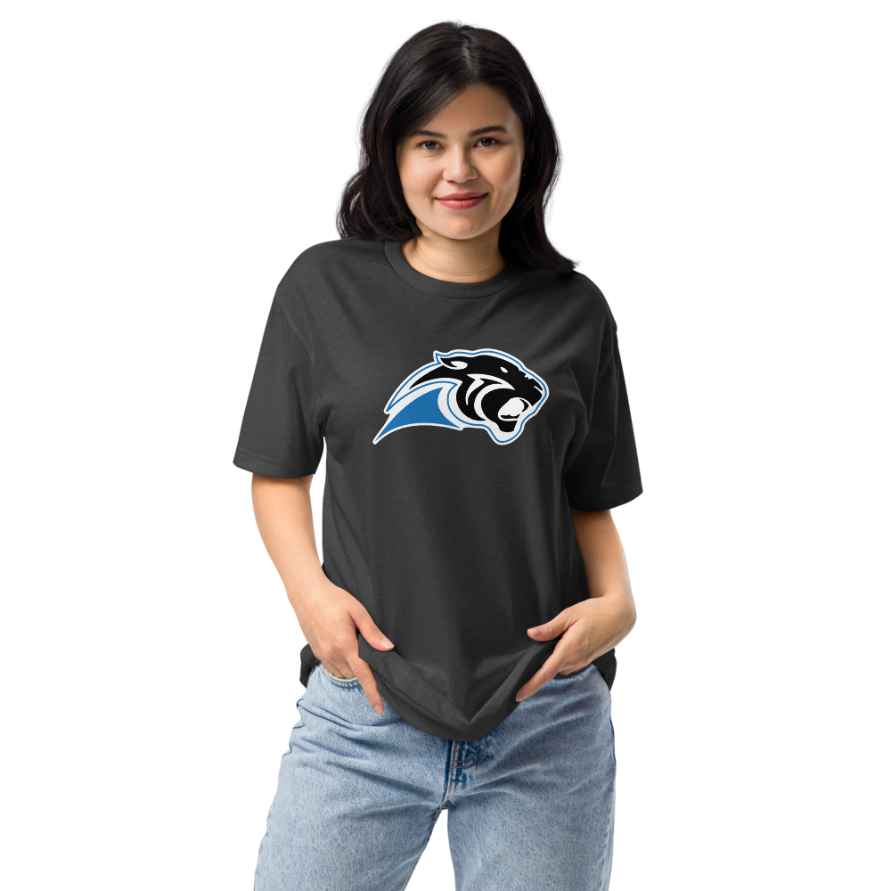 Pahranagat Valley High School Design 1 — Charcoal