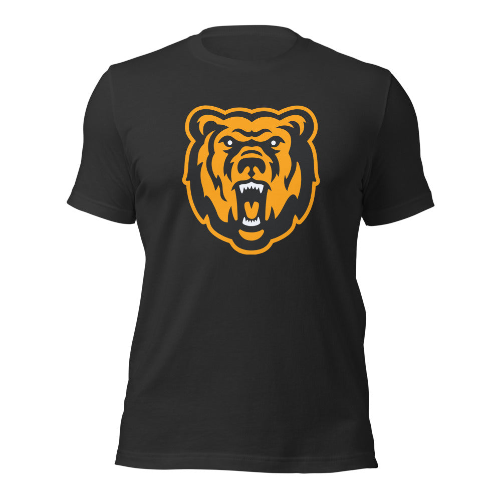 Leroy High School Design 1 — Dark Grey