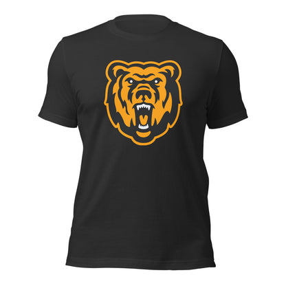 Leroy High School Design 1 — Dark Grey