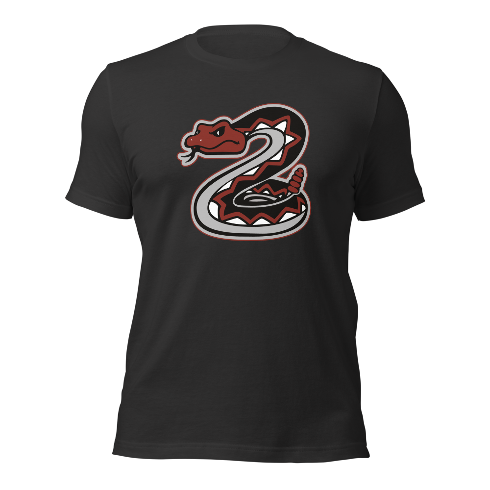 Desert Oasis High School Design 1 — Dark Grey
