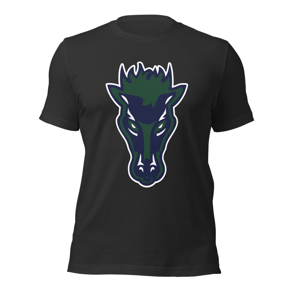 Damonte Ranch High School Design 1 — Dark Grey