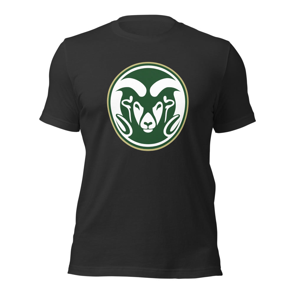 Sylvania High School Design 1 — Dark Grey