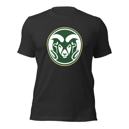 Sylvania High School Design 1 — Dark Grey