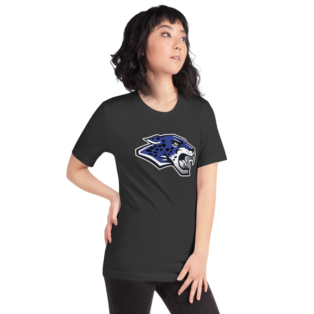 Desert Pines High School Design 1 — Dark Grey