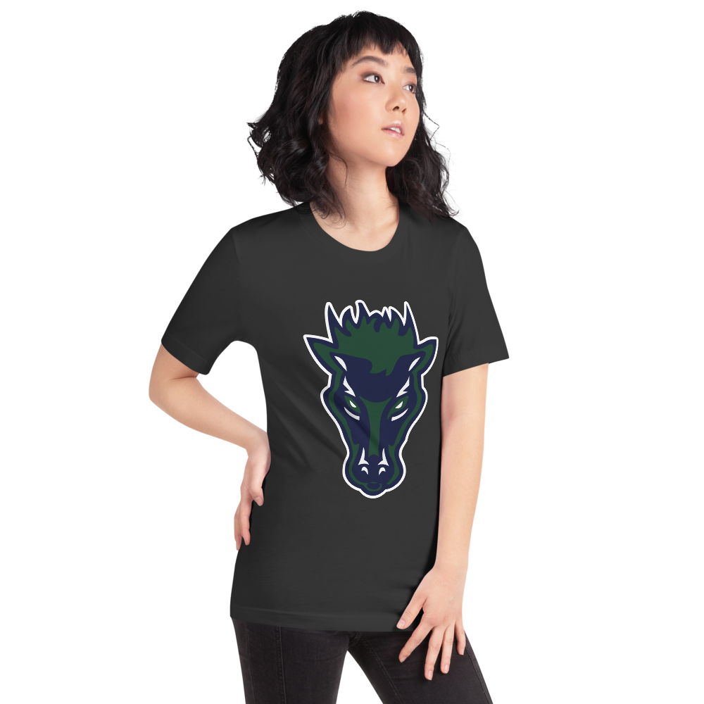 Damonte Ranch High School Design 1 — Dark Grey