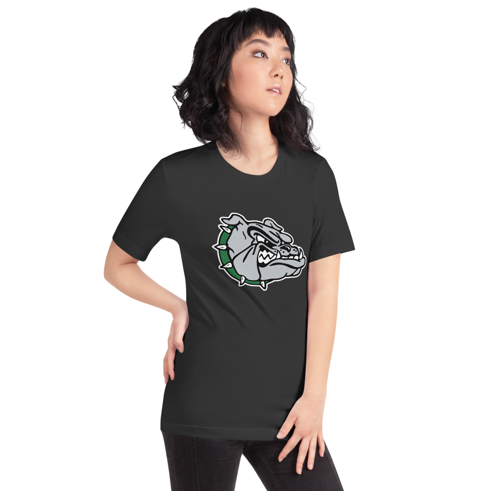 Virgin Valley High School Design 1 — Dark Grey